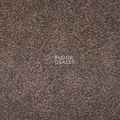 Ковролин Tapisom 600 Design Brown - 600 DESIGN SUEDINE 416082009 00006 фото 1 | FLOORDEALER
